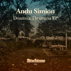 Cover of Doamna Thoamna EP