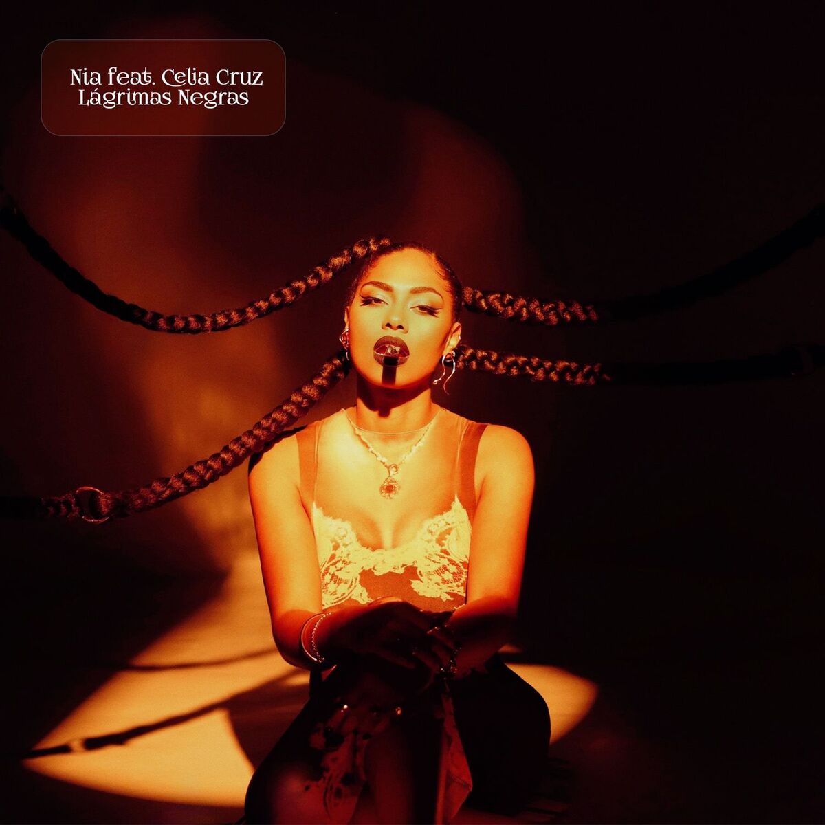 Album cover of Lágrimas Negras