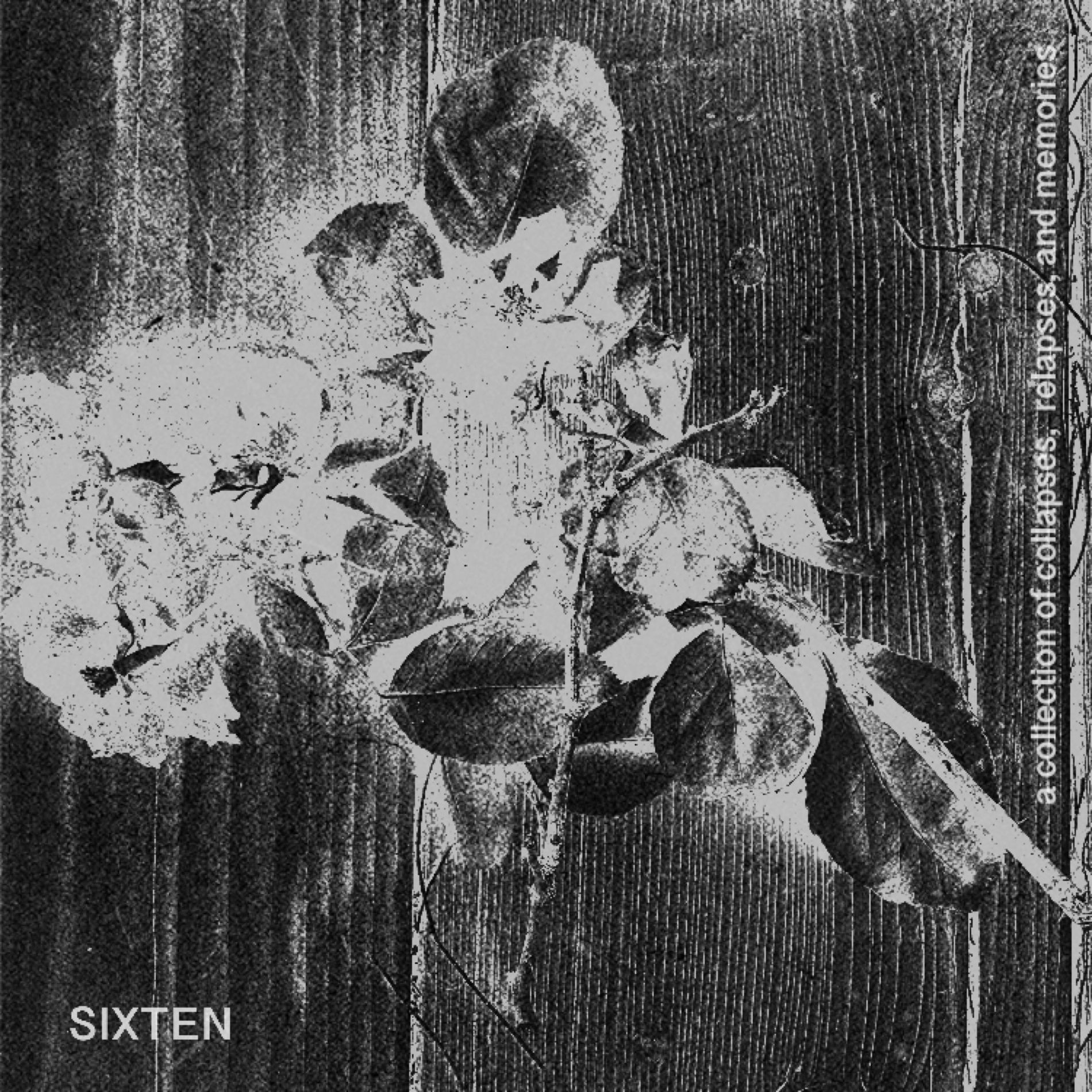 Album cover of a collection of collapses, relapses and memories