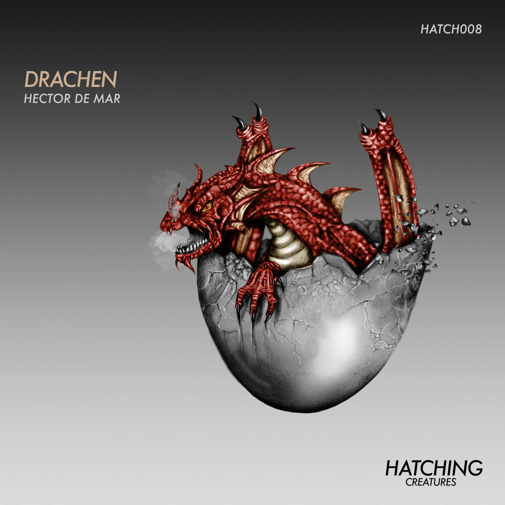 Picture of Drachen