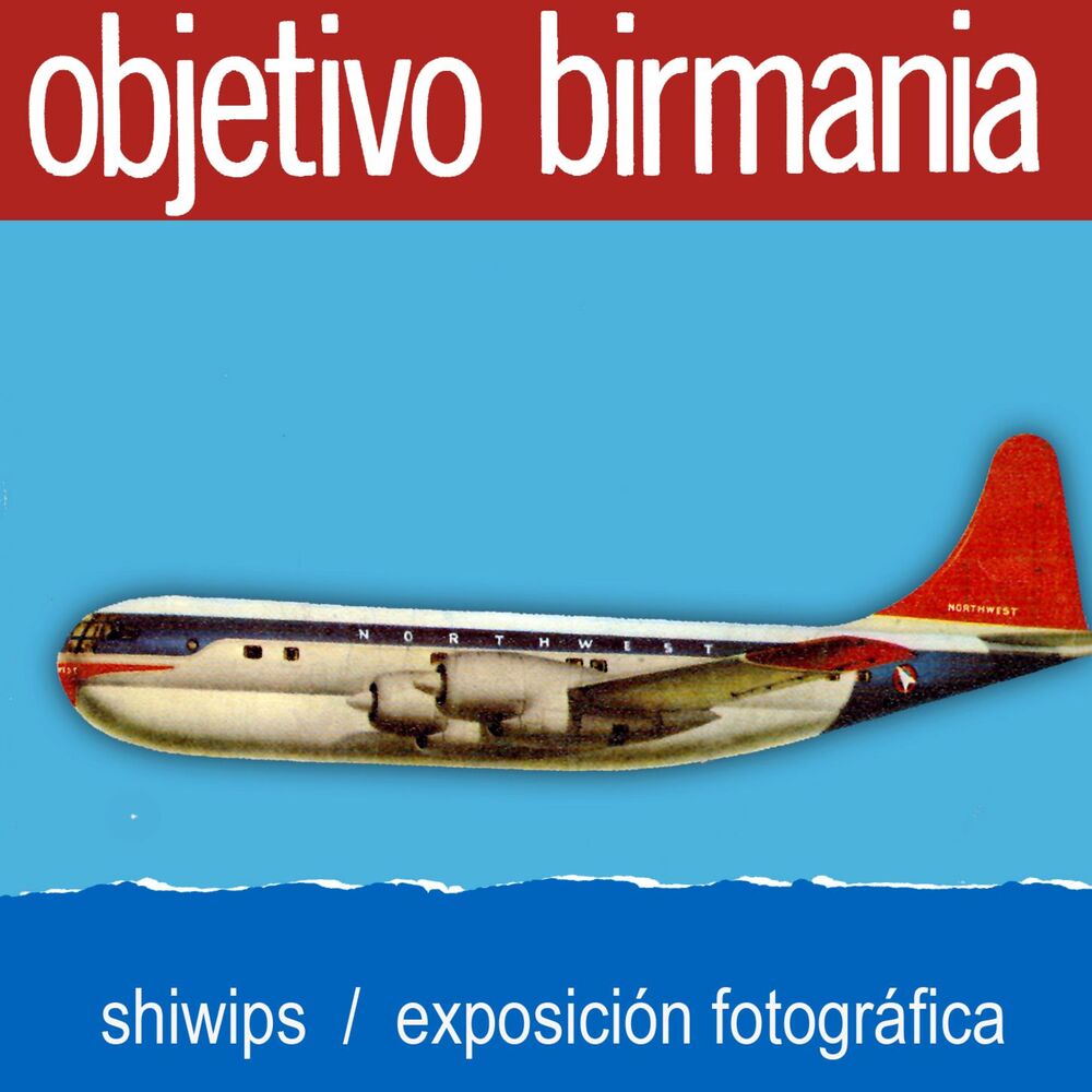 Picture of Shiwips