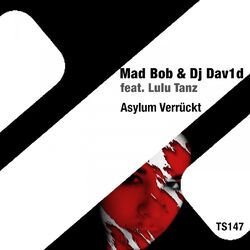 Cover of Asylum Verrückt