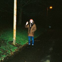 Cover of Fruitflies