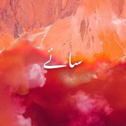 Cover of Saaye