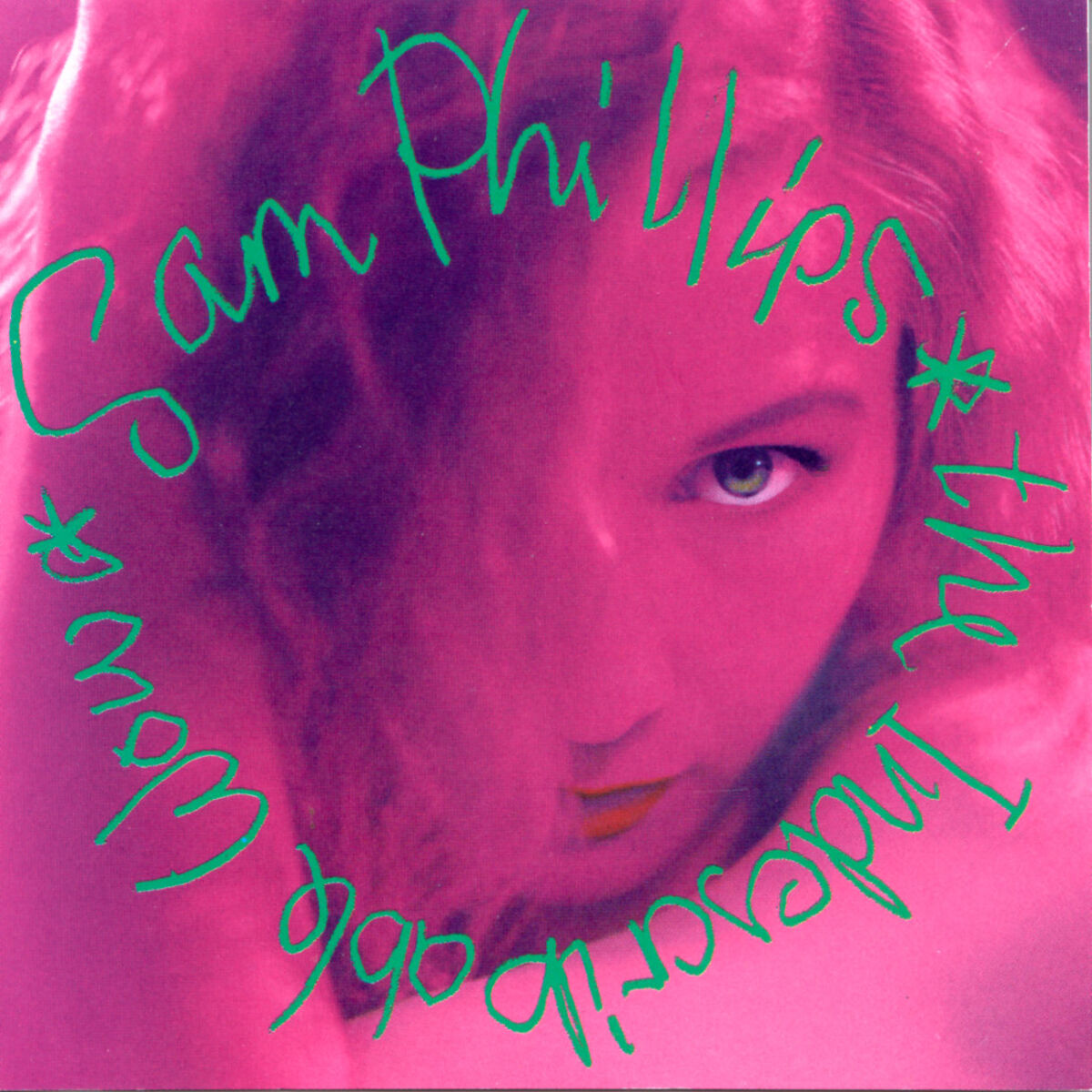 Album cover of The Indescribable Wow