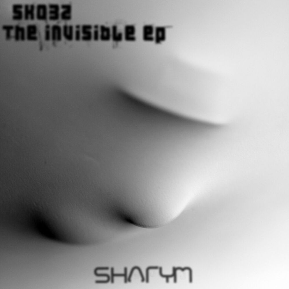 Picture of The Invisible