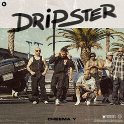 Cover of Dripster
