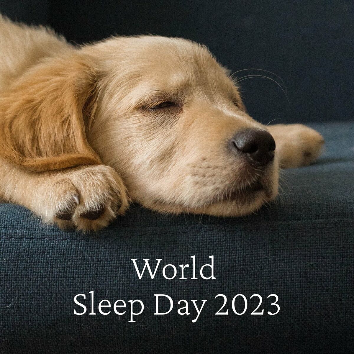 Album cover of World Sleep Day 2023