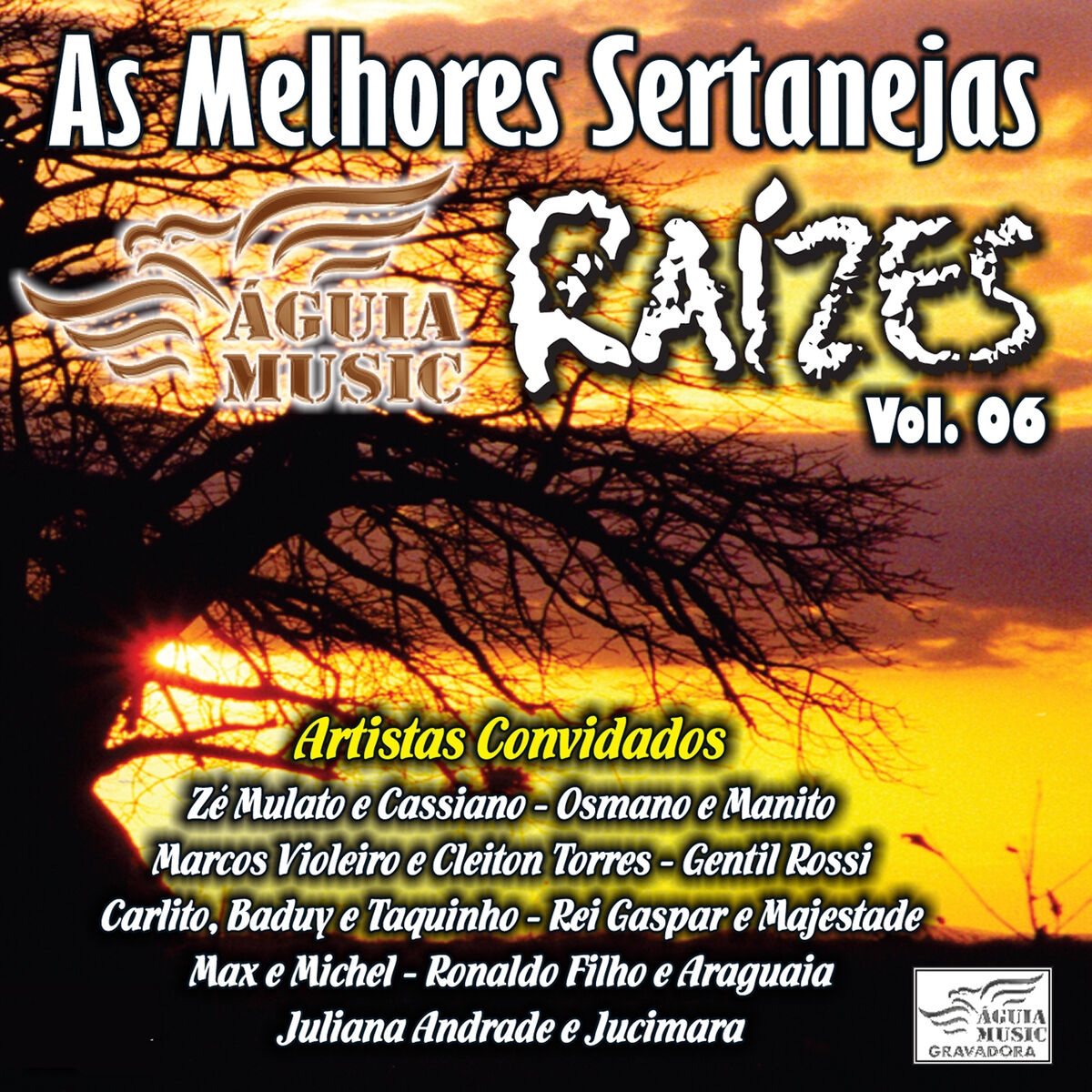 Album cover of Desatino
