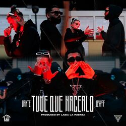 Cover of Tuve Que Hacerlo