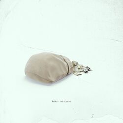 Cover of на суете