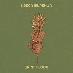 Cover of Ndega Murehwa