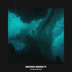 Cover of Drown Inside It