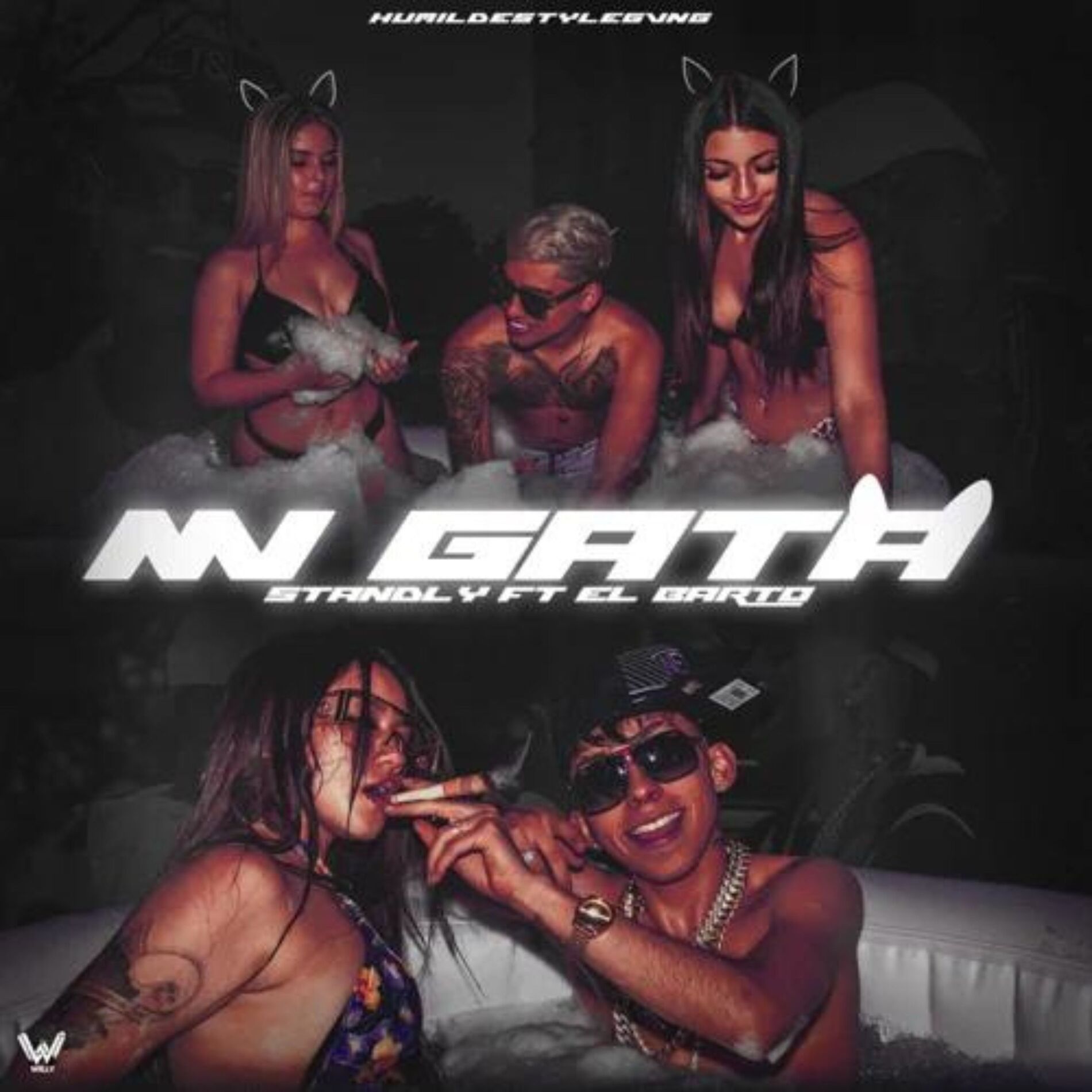 Album cover of Mi Gata