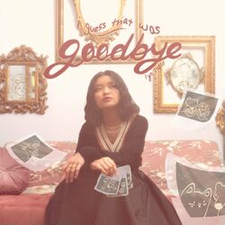 Cover of I Guess That Was Goodbye