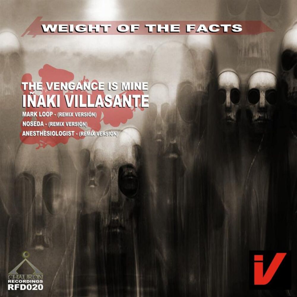 Picture of The Weight Of The Facts