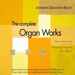 Cover of J.S. Bach: The complete organ works, vol. 6, preludes and fugues
