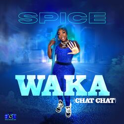 Cover of WAKA (Chat Chat)