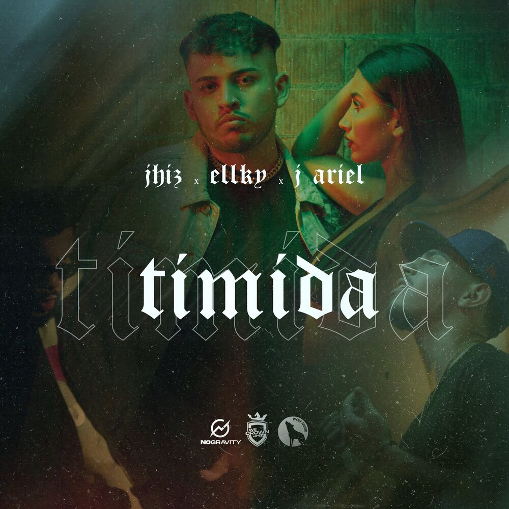 Picture of Timida