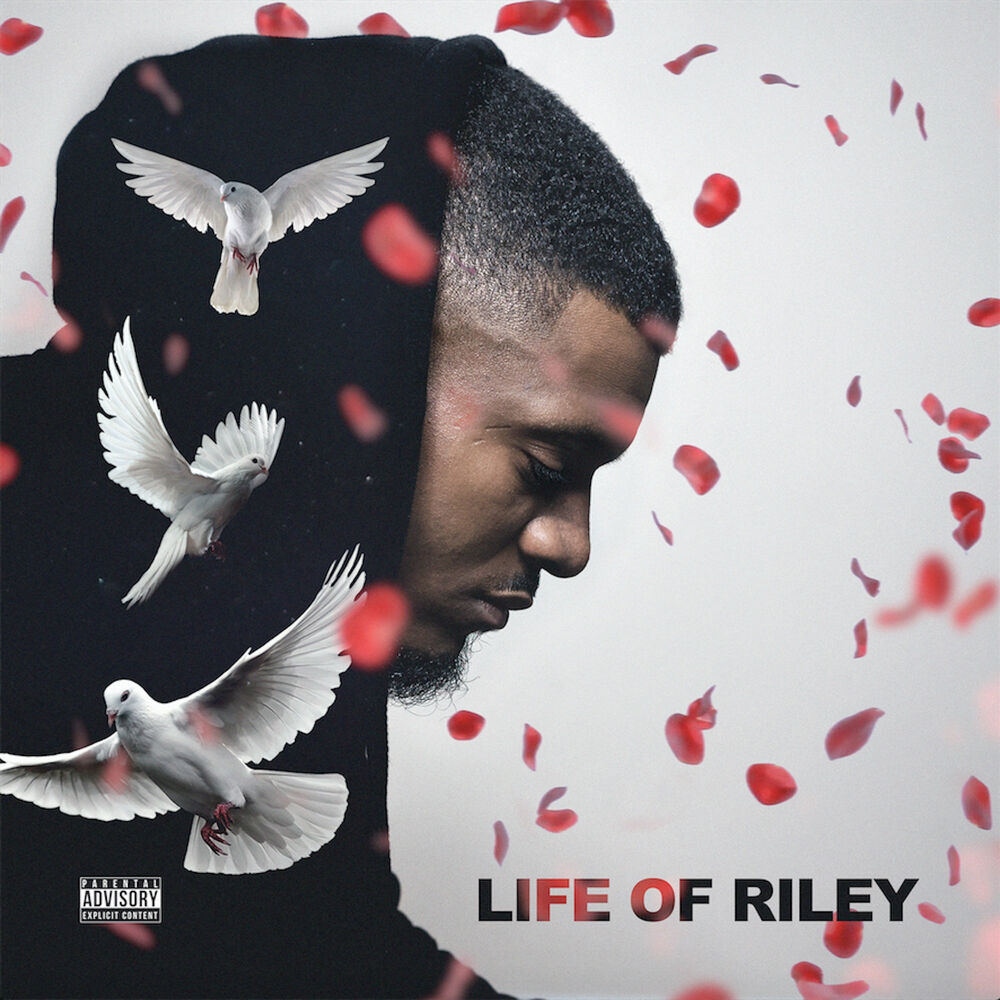 Picture of Life of Riley