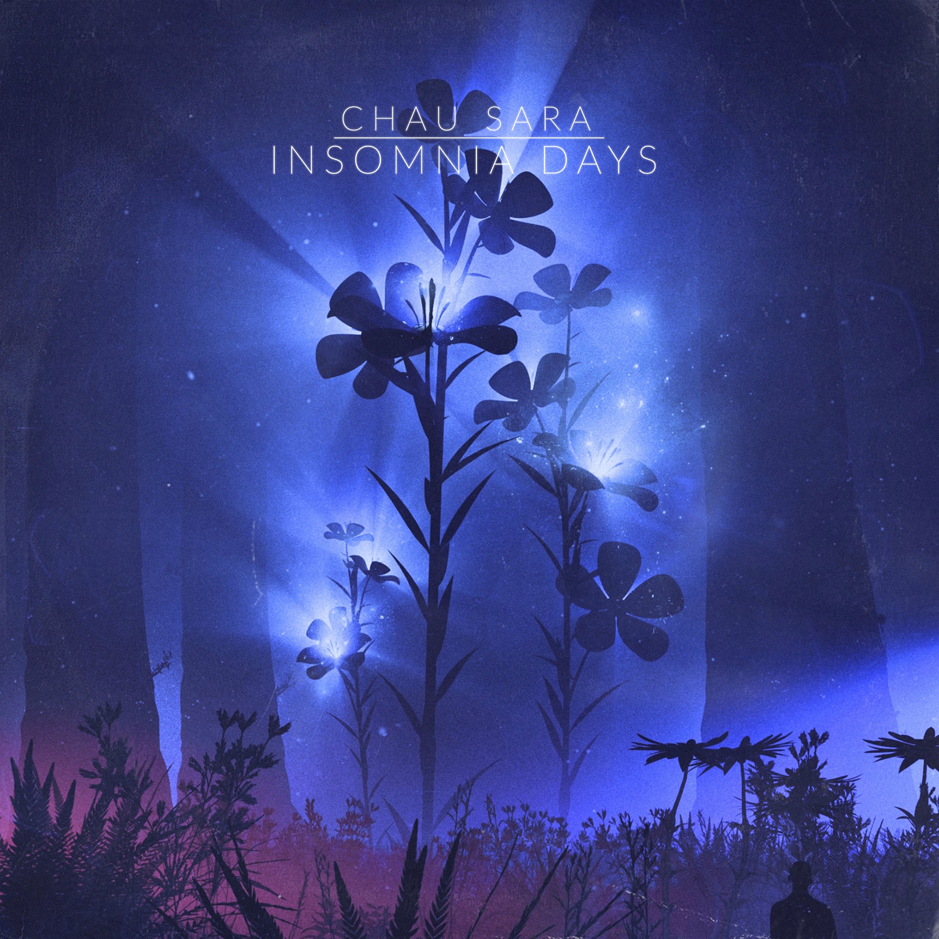 Album cover of Insomnia Days