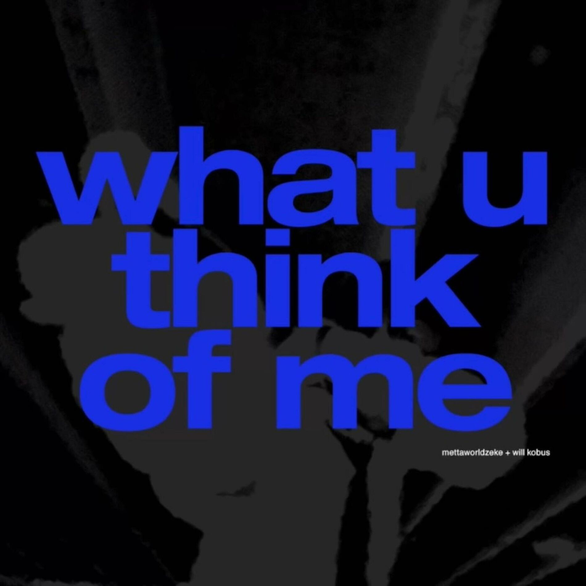 Album cover of what u think of me