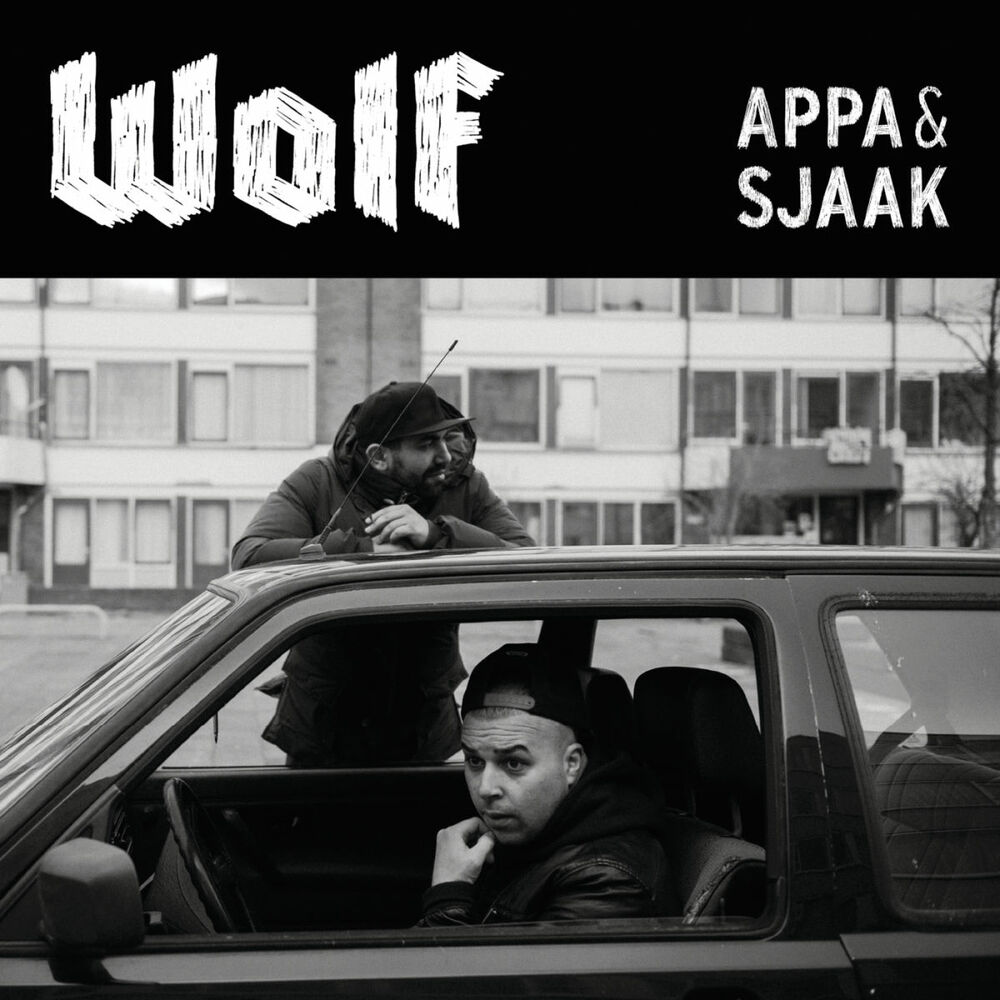 Picture of Wolf
