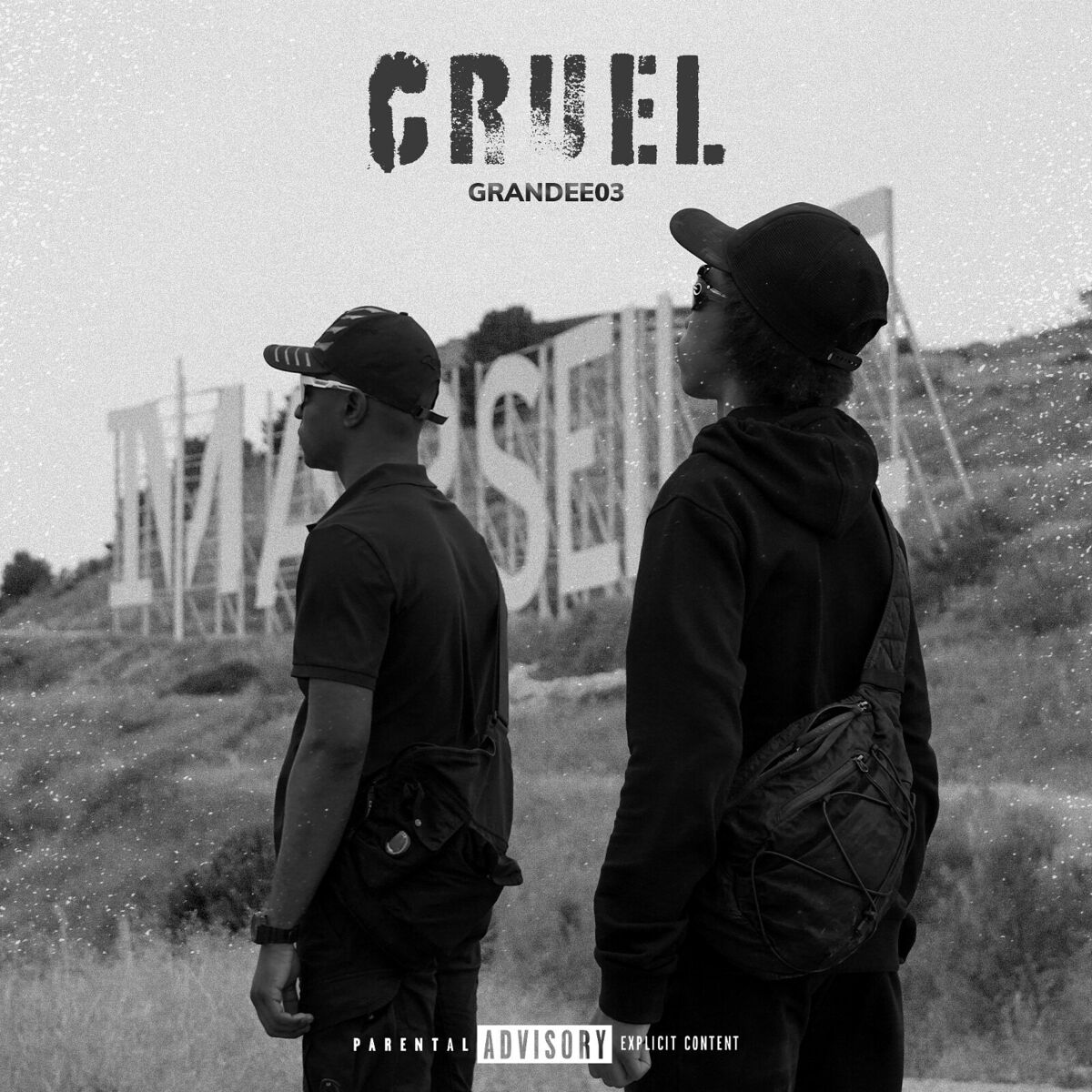Album cover of Cruel