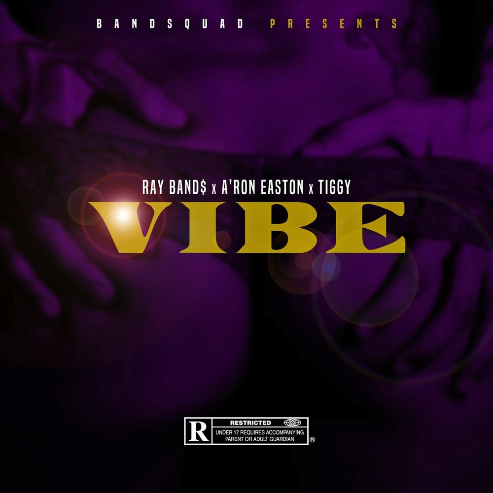Picture of Vibe