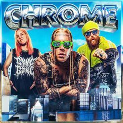 Cover of Chrome