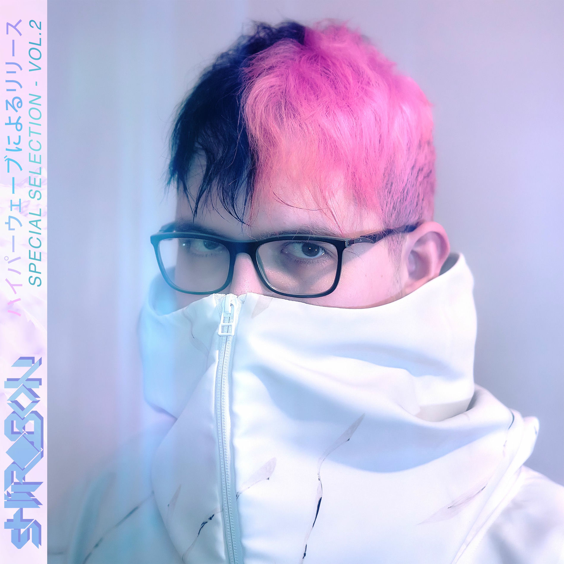 Album cover of Special Selection, Vol. 2