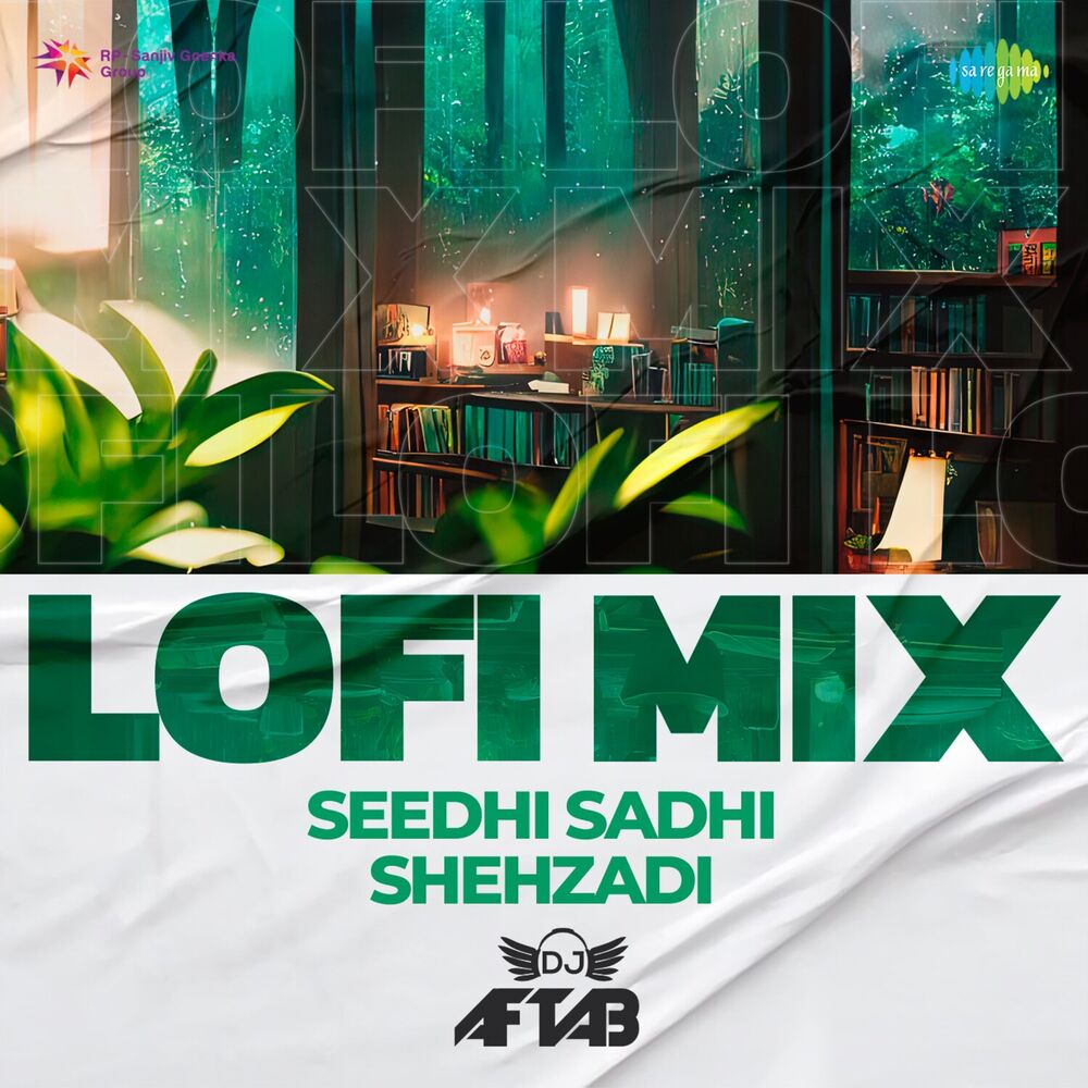 Picture of Seedhi Sadhi Shehzadi (LoFi Mix)