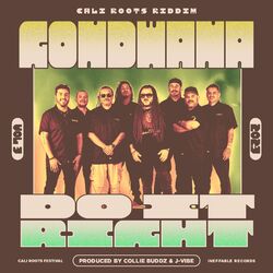 Cover of Do It Right