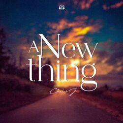 Cover of A New Thing