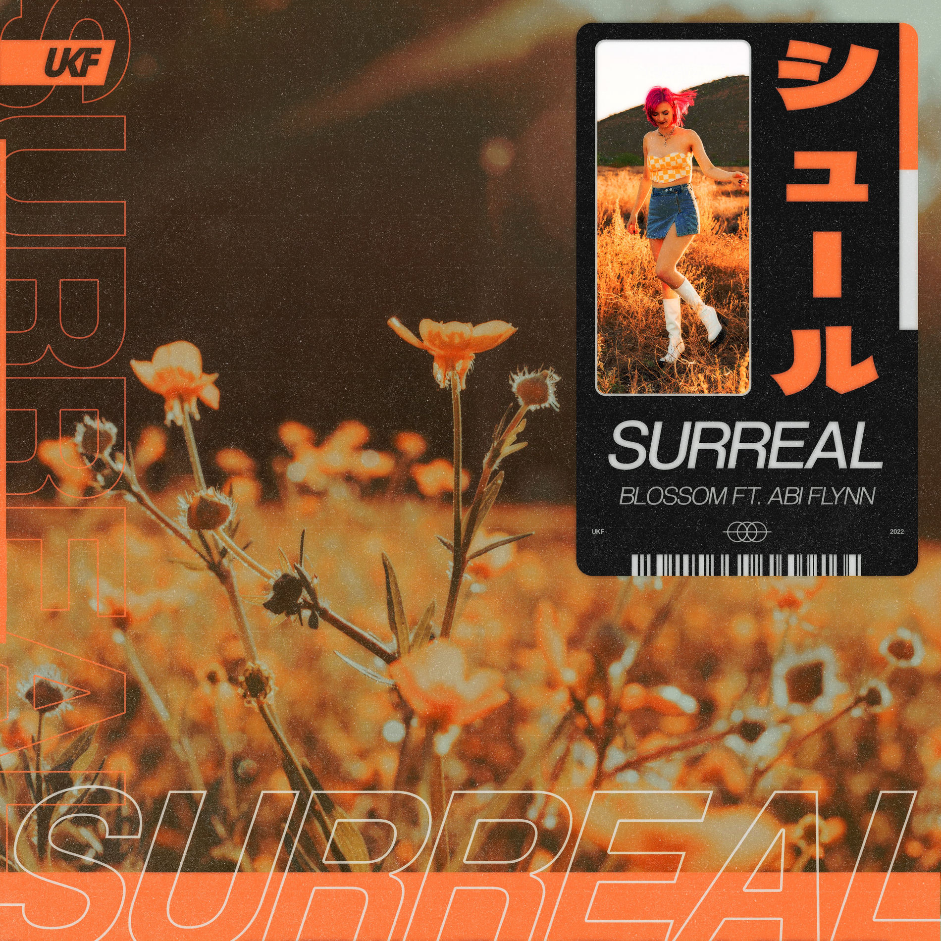 Album cover of Surreal