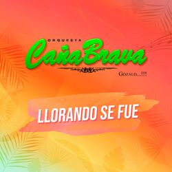 Cover of Llorando Se Fue