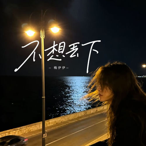 不想丢下