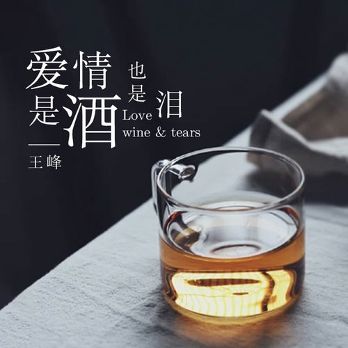 愛情是酒也是淚 (DJheap九天版)