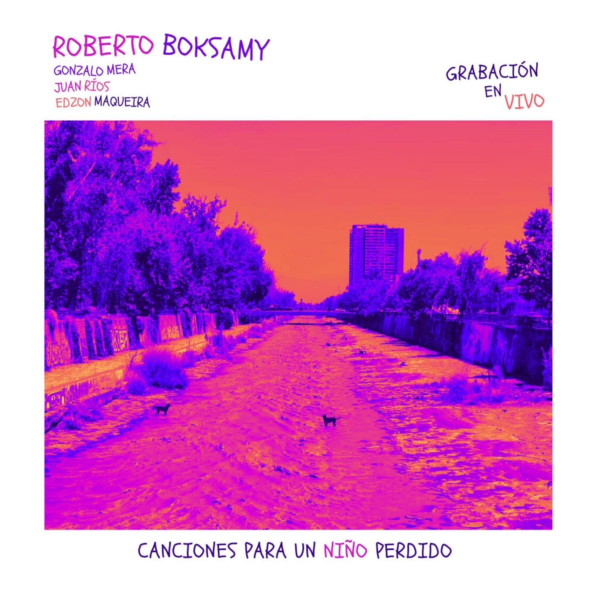 Album cover of Canciones Para un Niño Perdido