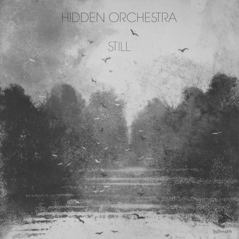 Picture of Still