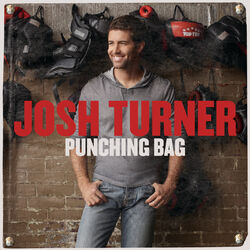 Cover of Punching Bag