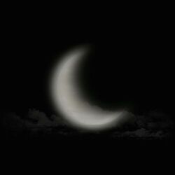 Cover of 最后的Good Night
