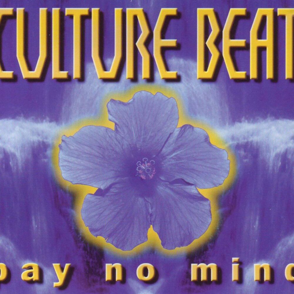 Picture of Pay No Mind