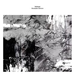 Cover of Modulate Oblivion