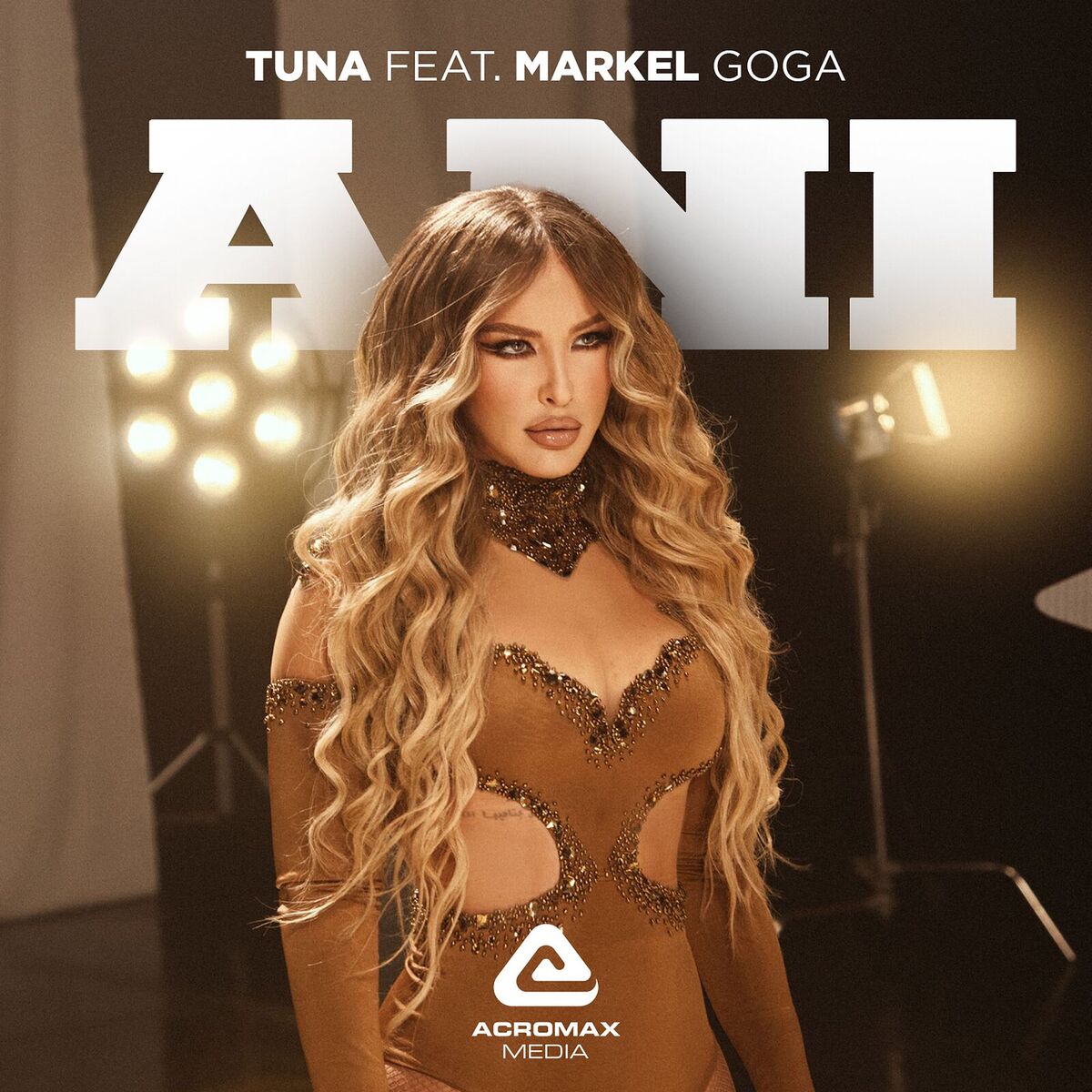 Album cover of Ani