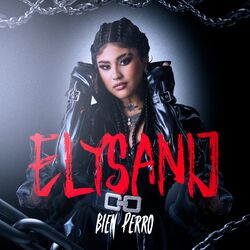 Cover of Bien Perro