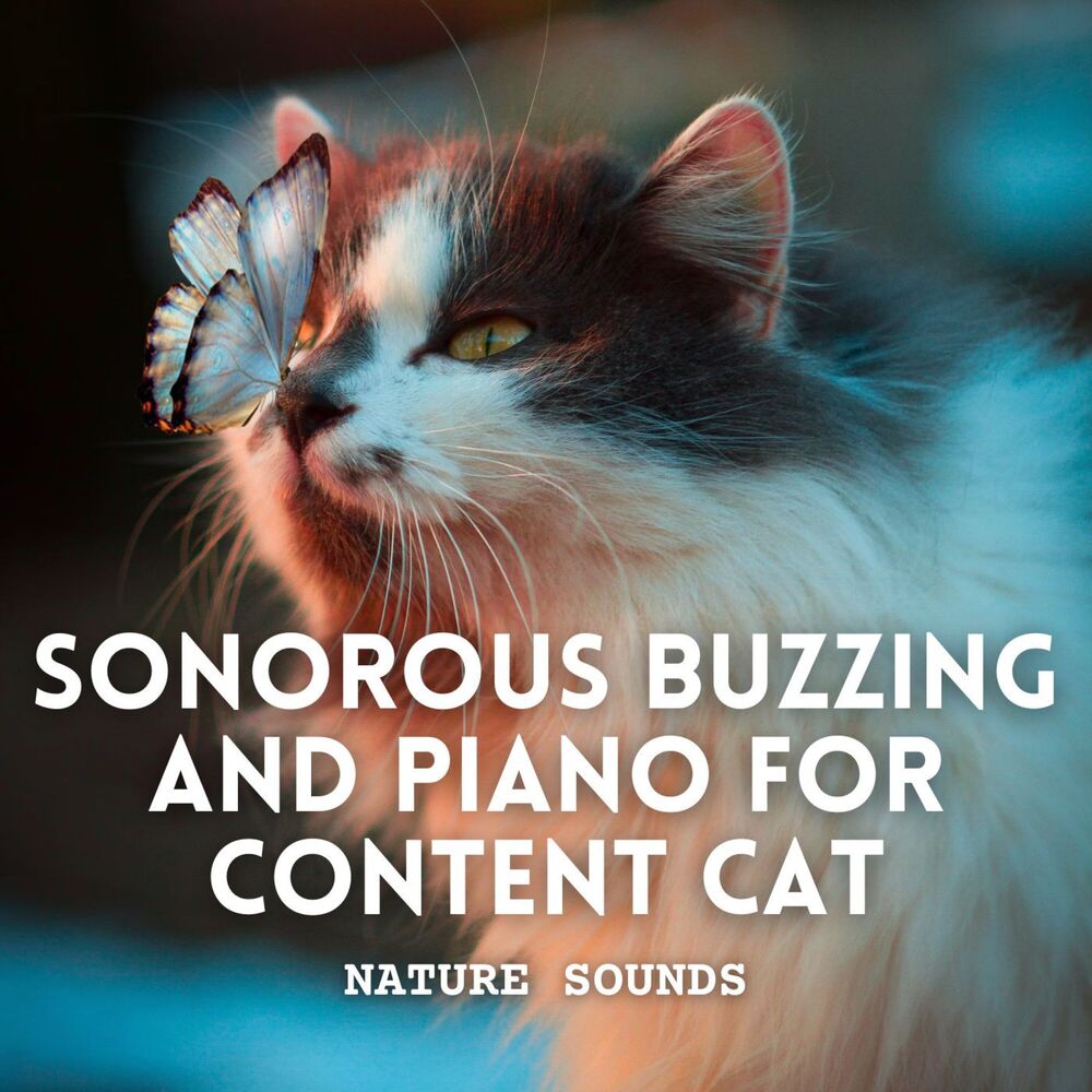 Picture of Nature Sounds: Sonorous Buzzing and Piano for Content Cat