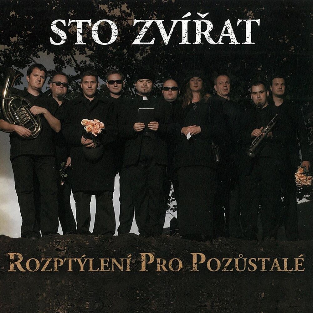 Picture of Rozptýlení Pro Pozůstalé