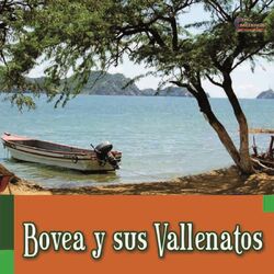 Cover of Y Sus Vallenatos