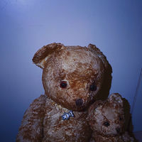 ノーバシーズ: アルバム、曲、コンサート | Deezer